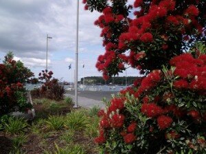 DSCF3042.NZ Christmas DSCF3042.NZ Christmas